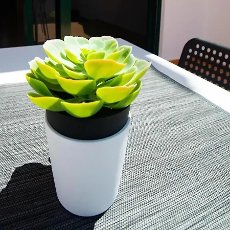 La Pituca * Playa Blanca (Lanzarote)