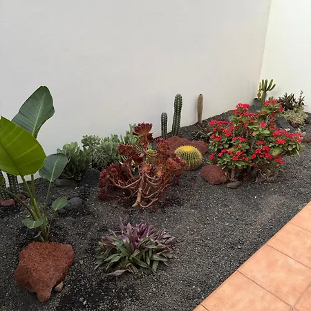 La Pituca Apartament Playa Blanca (Lanzarote)
