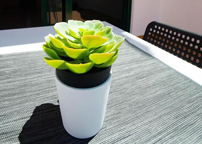 La Pituca * Playa Blanca (Lanzarote)