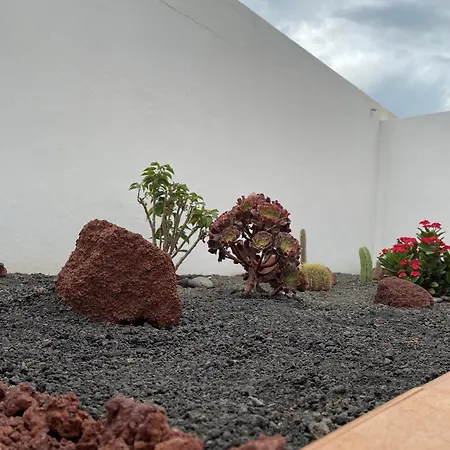 La Pituca Playa Blanca (Lanzarote)