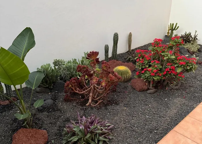 La Pituca Apartment Playa Blanca (Lanzarote)